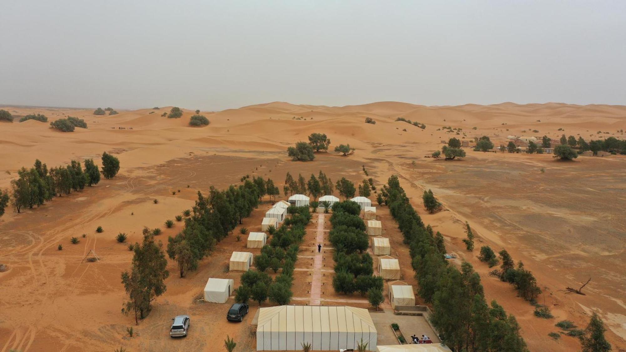 Trek Desert Morocco Sarl Taouz Eksteriør bilde