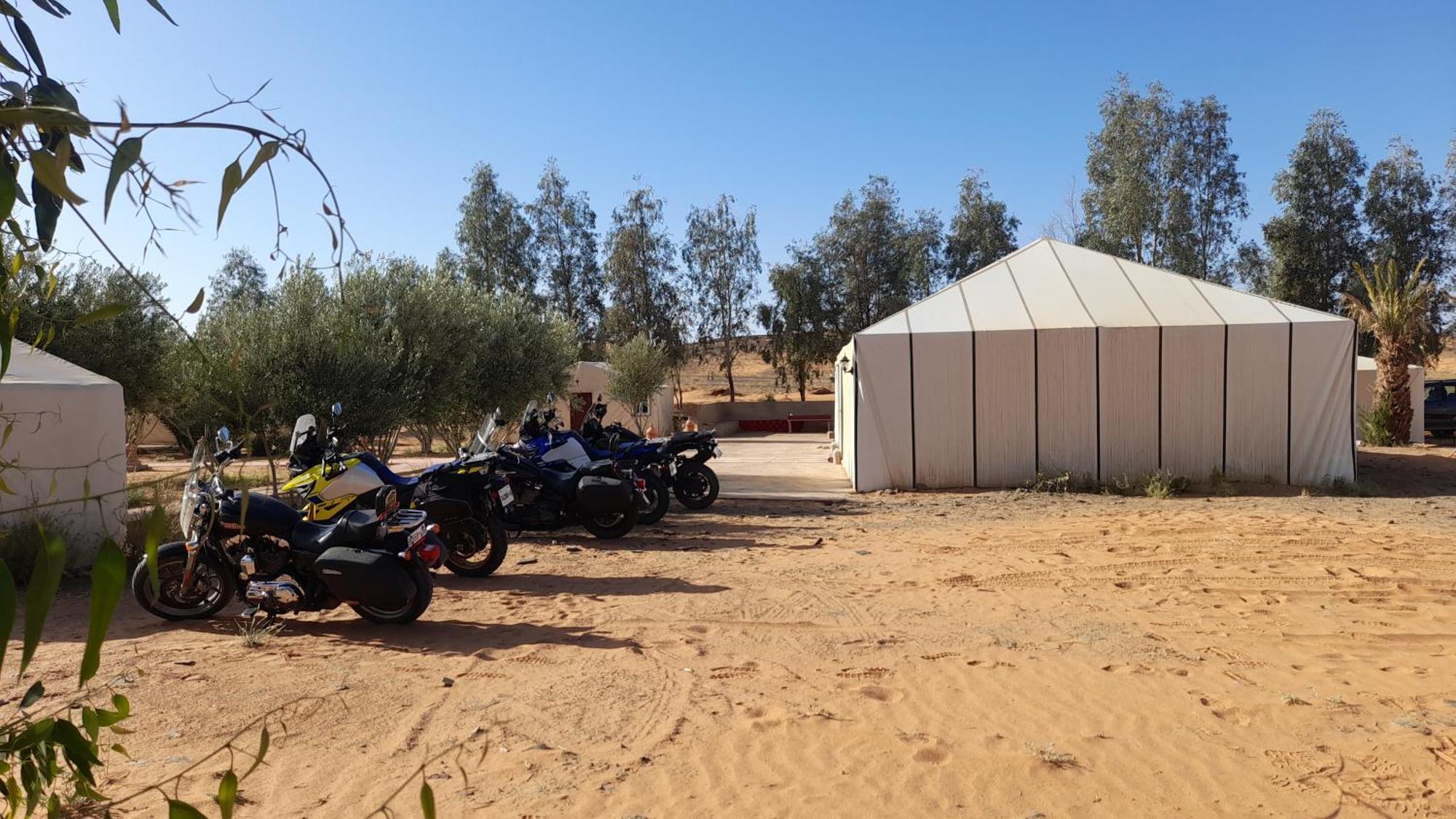 Trek Desert Morocco Sarl Taouz Eksteriør bilde