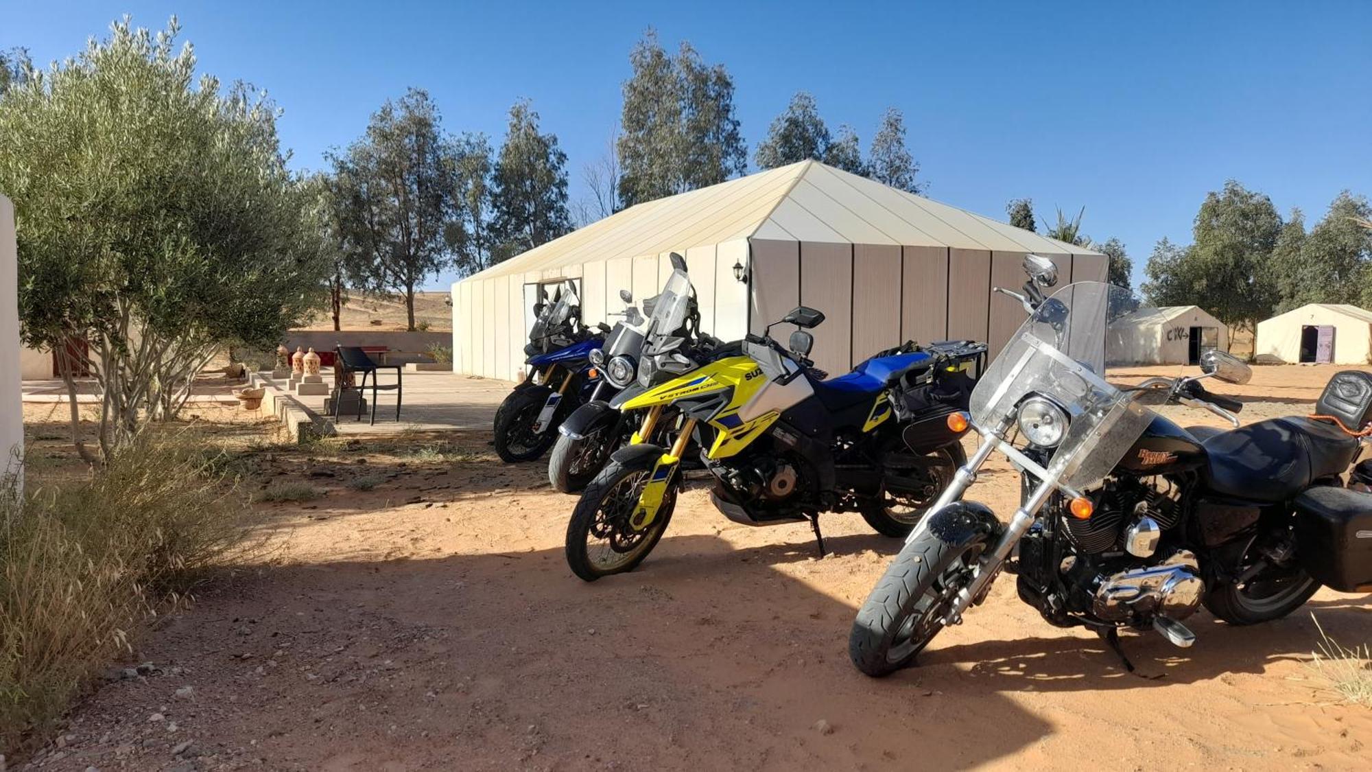 Trek Desert Morocco Sarl Taouz Eksteriør bilde