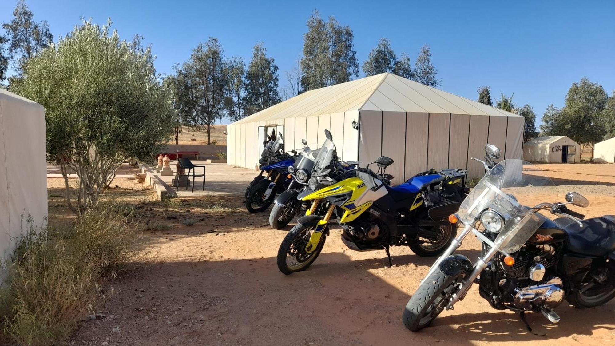 Trek Desert Morocco Sarl Taouz Eksteriør bilde